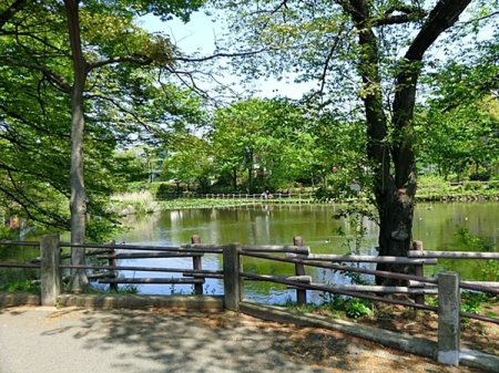 �_�ސ쌧���l�s�`�k��x�m��1���ڂ̐V�z��ˌ��Ă̎��ӊ�