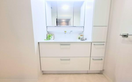 �_�ސ쌧���l�s�s�}��r�Ӓ��̒��Ã}���V�����̐��ʑ�E���ʏ�