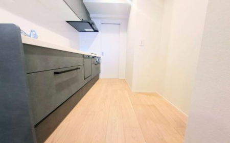 �_�ސ쌧���l�s�t��`�c�k1���ڂ̒��Ã}���V�����̃L�b�`��