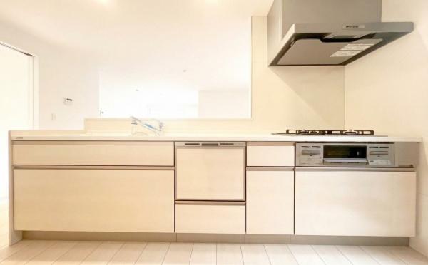 �_�ސ쌧���l�s�`�k��������̐V�z��ˌ��ẴL�b�`��