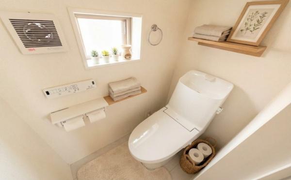 �_�ސ쌧���l�s�`�k��������̐V�z��ˌ��Ẵg�C��