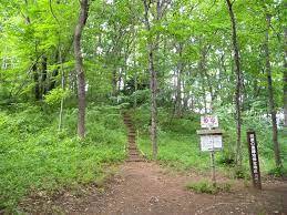 �_�ސ쌧���s���������2���ڂ̒��Ã}���V�����̎��ӊ�