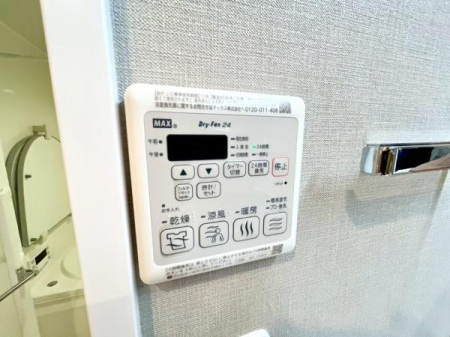 �_�ސ쌧���l�s�_�ސ��_�厛2���ڂ̒��Ã}���V�����̂��̑�
