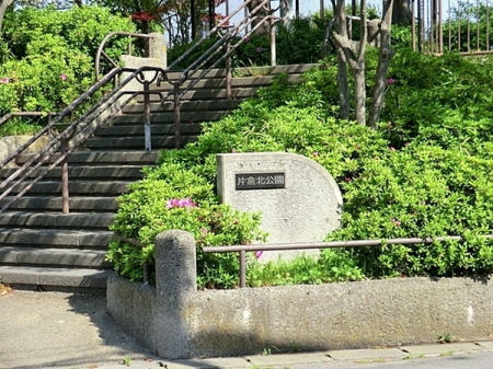 �_�ސ쌧���l�s�_�ސ��_�厛2���ڂ̒��Ã}���V�����̎��ӊ�