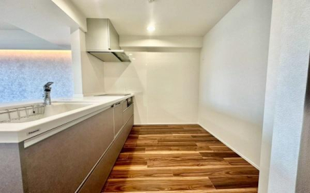 �_�ސ쌧���l�s�_�ސ�揼����2���ڂ̒��Ã}���V�����̃L�b�`��