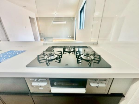 �_�ސ쌧���l�s�t��V�ΐ�4���ڂ̐V�z��ˌ��ẴL�b�`��