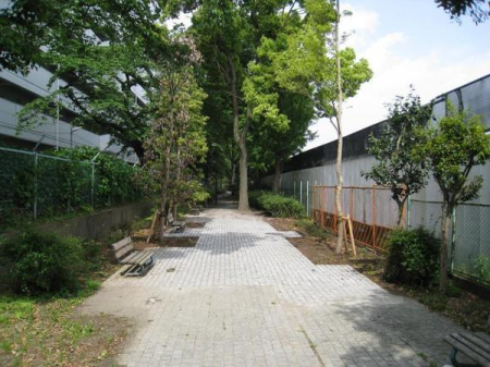 �_�ސ쌧���s�K�扺���Ԃ̒��Ã}���V�����̎��ӊ�