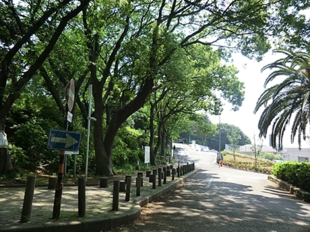 �_�ސ쌧���s�K�揬�q�̒��Ã}���V�����̎��ӊ�