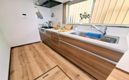 �_�ސ쌧���l�s�ۓy�P�J��㐛�c���̒��È�ˌ��ẴL�b�`��