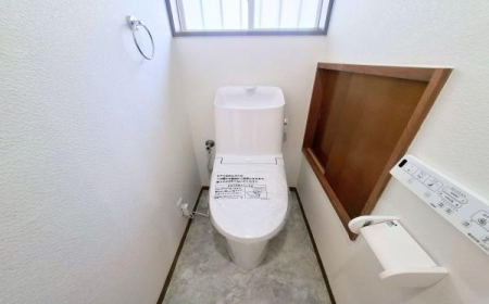 �_�ސ쌧���l�s�ۓy�P�J��㐛�c���̒��È�ˌ��Ẵg�C��