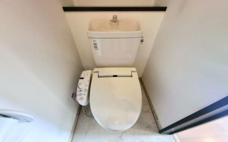 �_�ސ쌧���l�s����s�򒬂̒��È�ˌ��Ẵg�C��