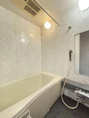 �_�ސ쌧���l�s�_�ސ��䒬�̒��Ã}���V�����̗���