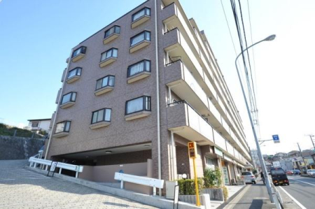 �_�ސ쌧���l�s���拫�V�J�̒��Ã}���V�����̉摜