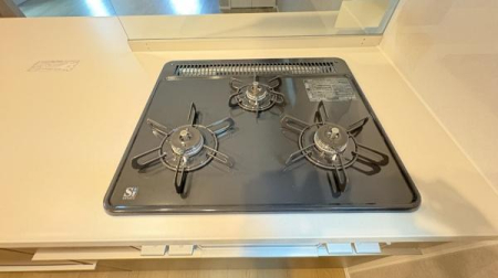 �_�ސ쌧���q�s��K��5���ڂ̐V�z��ˌ��ẴL�b�`��