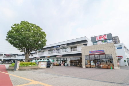 �_�ސ쌧���l�s���퐶��̒��Ã}���V�����̎��ӊ�