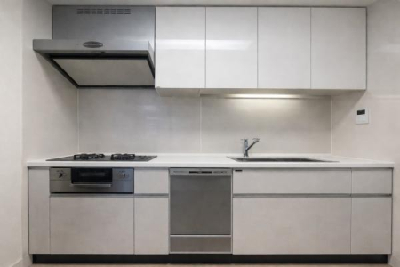 �_�ސ쌧���l�s���J�搣�J5���ڂ̒��Ã}���V�����̃L�b�`��