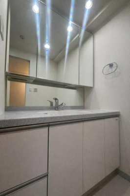 �_�ސ쌧���l�s���J�搣�J5���ڂ̒��Ã}���V�����̐��ʑ�E���ʏ�