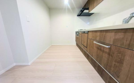 �_�ސ쌧���l�s�˒ˋ�O�c���̒��Ã}���V�����̃L�b�`��