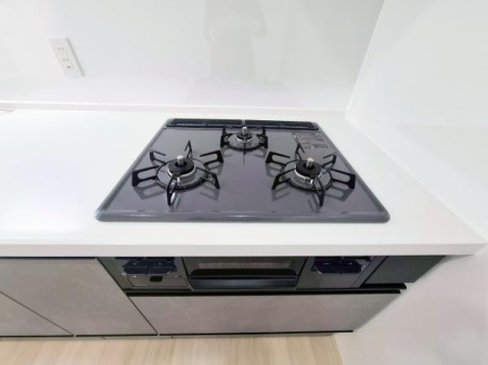 �_�ސ쌧���l�s�˒ˋ�˒˒��̒��Ã}���V�����̃L�b�`��