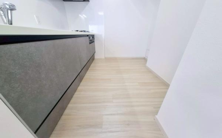 �_�ސ쌧���l�s�˒ˋ�˒˒��̒��Ã}���V�����̃L�b�`��