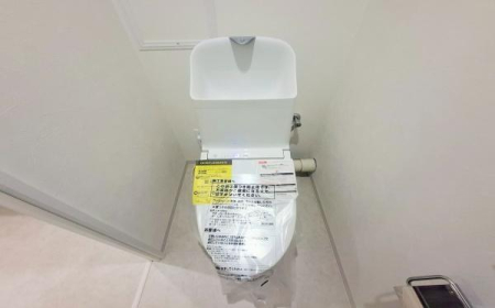 �_�ސ쌧���l�s��q�擌���̒��Ã}���V�����̃g�C��