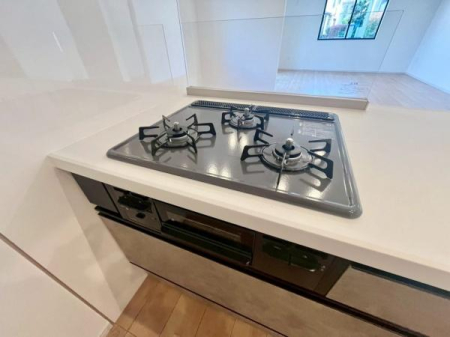 �_�ސ쌧���l�s�`�k��ݍ����̐V�z��ˌ��ẴL�b�`��