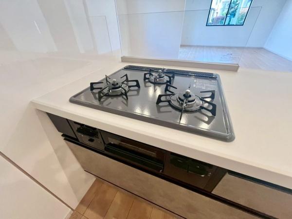 �_�ސ쌧���l�s�`�k��ݍ����̐V�z��ˌ��ẴL�b�`��