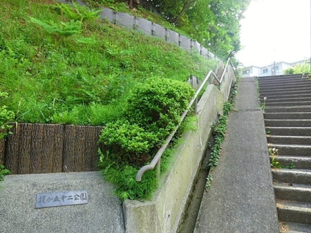 �_�ސ쌧���l�s�t��t��1���ڂ̒��Ã}���V�����̎��ӊ�