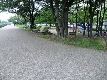 �_�ސ쌧���l�s�`�k��V���l3���ڂ̒��Ã}���V�����̎��ӊ�