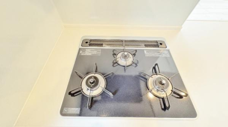 �_�ސ쌧���l�s�`������4���ڂ̐V�z��ˌ��ẴL�b�`��