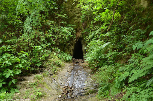 �_�ސ쌧���l�s�h�擌�㋽���̐V�z��ˌ��Ă̎��ӊ�