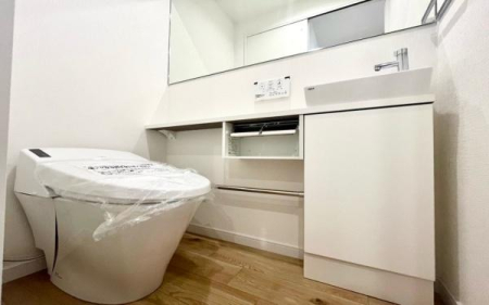 �_�ސ쌧���l�s�_�ސ�敽�쒬�̒��Ã}���V�����̃g�C��