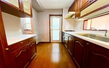 �_�ސ쌧���l�s�t��j��2���ڂ̒��È�ˌ��ẴL�b�`��