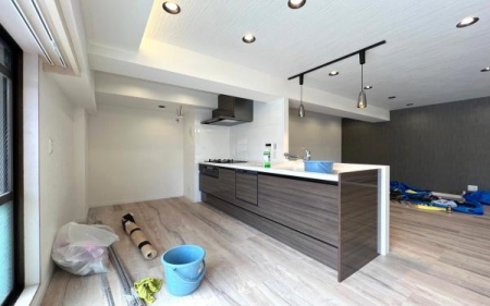 �_�ސ쌧���l�s�����Z�Y5���ڂ̒��Ã}���V�����̃L�b�`��