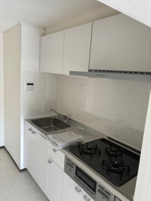 �_�ސ쌧���l�s�t��ޗǒ��̒��Ã}���V�����̃L�b�`��