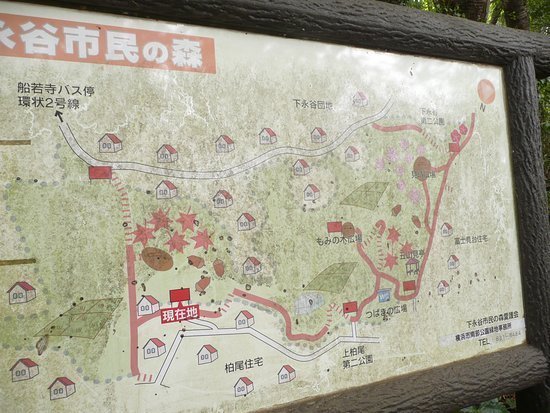 �_�ސ쌧���l�s�˒ˋ�㔐�����̒��È�ˌ��Ă̎��ӊ�