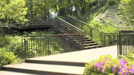 �_�ސ쌧���l�s����l�G����̒��È�ˌ��Ă̎��ӊ�