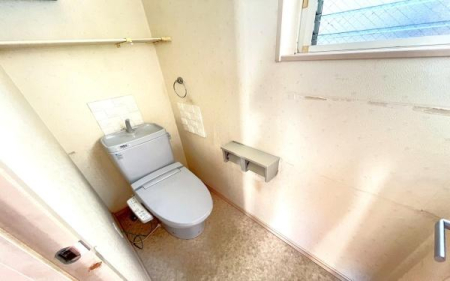 �_�ސ쌧���l�s�ۓy�P�J��_�˒��̒��È�ˌ��Ẵg�C��