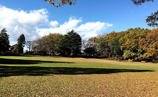 �_�ސ쌧���l�s�΋撷�Óc���̒��È�ˌ��Ă̎��ӊ�