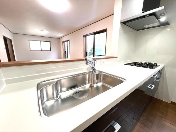 �_�ސ쌧���l�s���攒��5���ڂ̒��È�ˌ��ẴL�b�`��