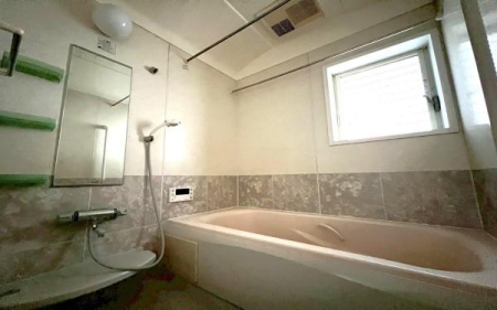 �_�ސ쌧���l�s�ۓy�P�J��_�˒��̒��È�ˌ��Ă̗���