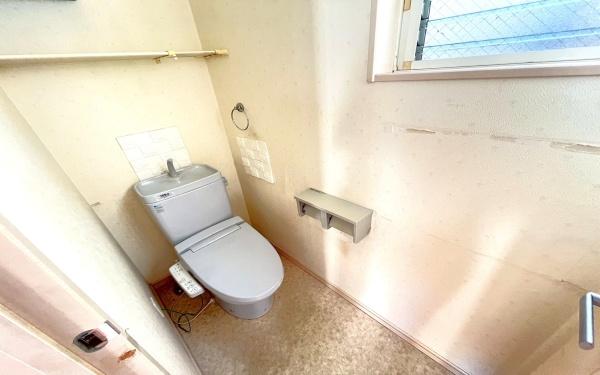 �_�ސ쌧���l�s�ۓy�P�J��_�˒��̒��È�ˌ��Ẵg�C��