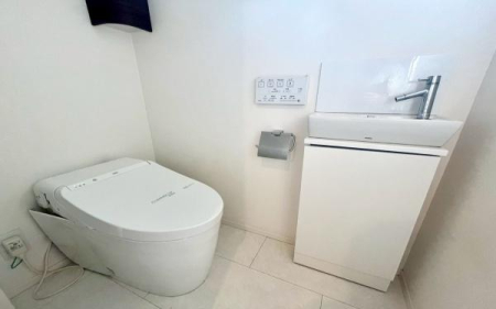 �_�ސ쌧���l�s�����V��̒��È�ˌ��Ẵg�C��