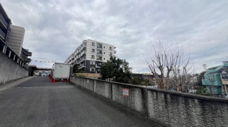 �_�ސ쌧���l�s���攒��8���ڂ̒��Ã}���V�����̂��̑����n