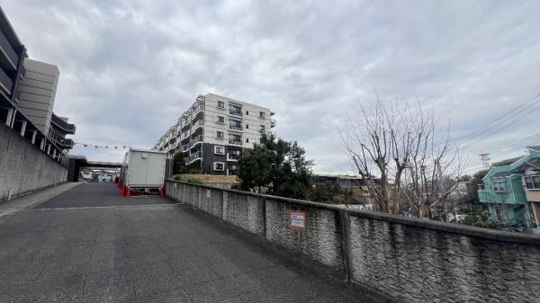 �_�ސ쌧���l�s���攒��8���ڂ̒��Ã}���V�����̂��̑����n