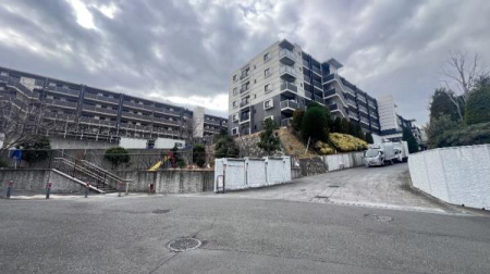 �_�ސ쌧���l�s���攒��8���ڂ̒��Ã}���V�����̂��̑����n