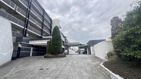 �_�ސ쌧���l�s���攒��8���ڂ̒��Ã}���V�����̂��̑����n