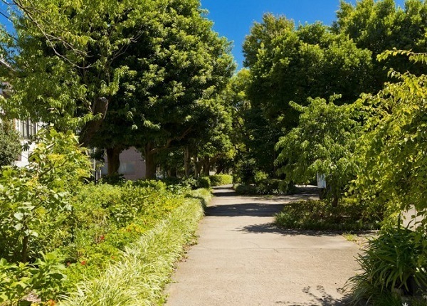 �_�ސ쌧���s�K�撆�K��4���ڂ̒��Ã}���V�����̎��ӊ�