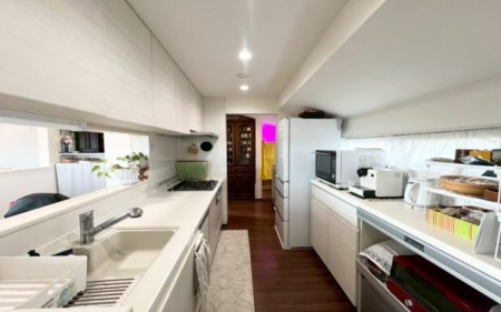 �_�ސ쌧���l�s��撆��2���ڂ̒��È�ˌ��ẴL�b�`��