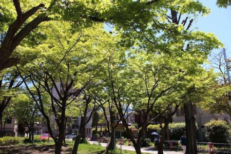 �_�ސ쌧���s���Ë�a��6���ڂ̒��Ã}���V�����̎��ӊ�